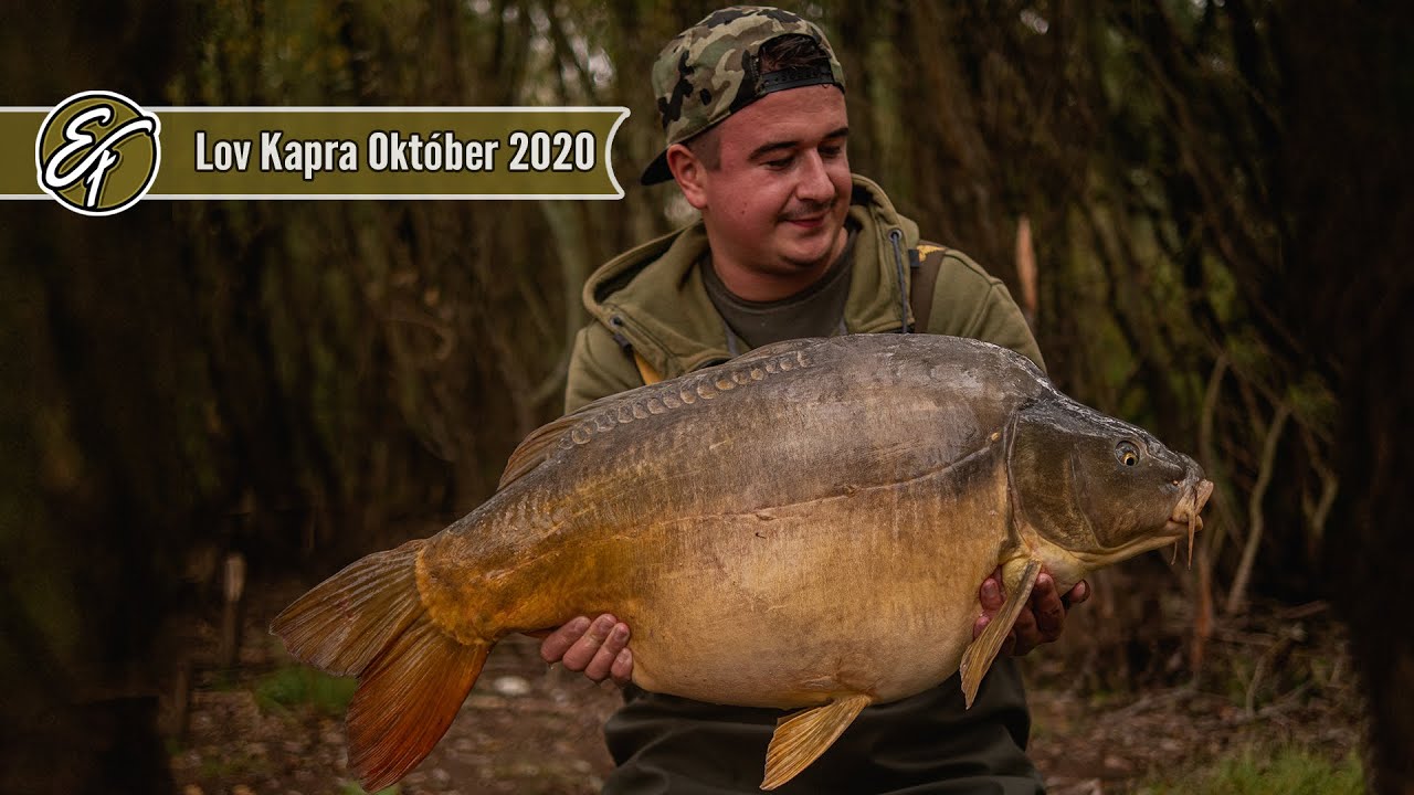 Lov Kapra – Zemplínska Šírava Október 2020