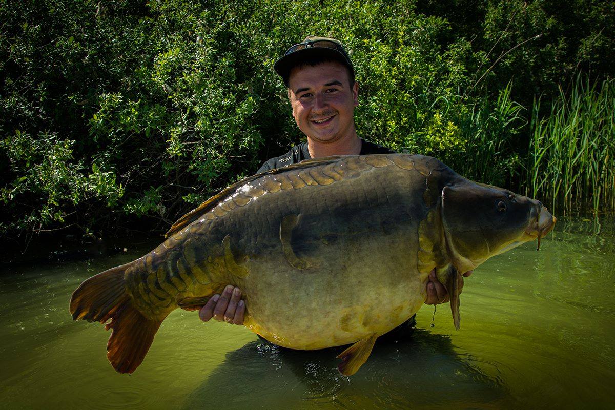 Carpfishing on Lac de Madine 2017