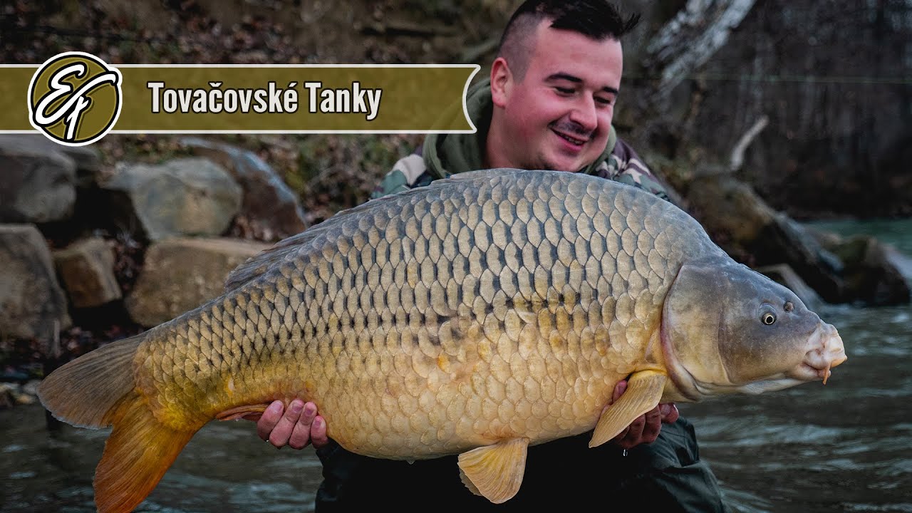 Tovačovské Tanky – November Carpfishing